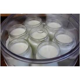 Máy làm sữa chua chefmen gồm 8 cốc thủy tinh đảm bảo an toàn vệ sinh