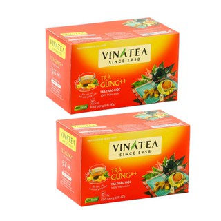 Combo 02 Hộp Trà Vinatea - Trà gừng ++ túi lọc 40g thuộc dòng trà thảo mộc