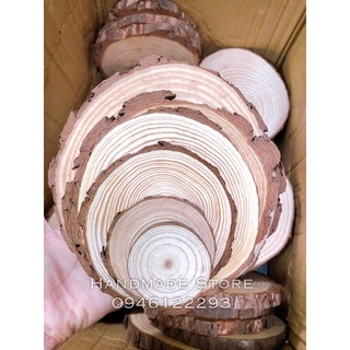 Khúc gỗ (Decor - chụp ảnh - trưng bày sản phẩm)