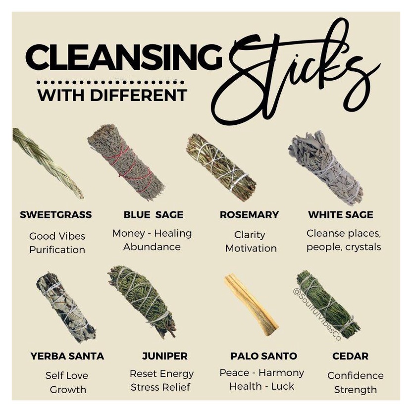 Bó xô Bảo Vệ - Bạch đàn Song An Eco (Eucalyptus smudge)