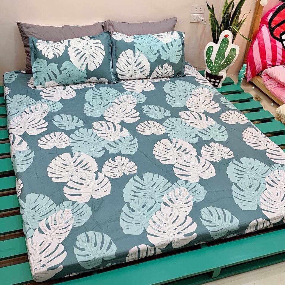 Sét ga chun và 2 áo gối nằm Emmidecor - mẫu lá khoai, drap cotton poly