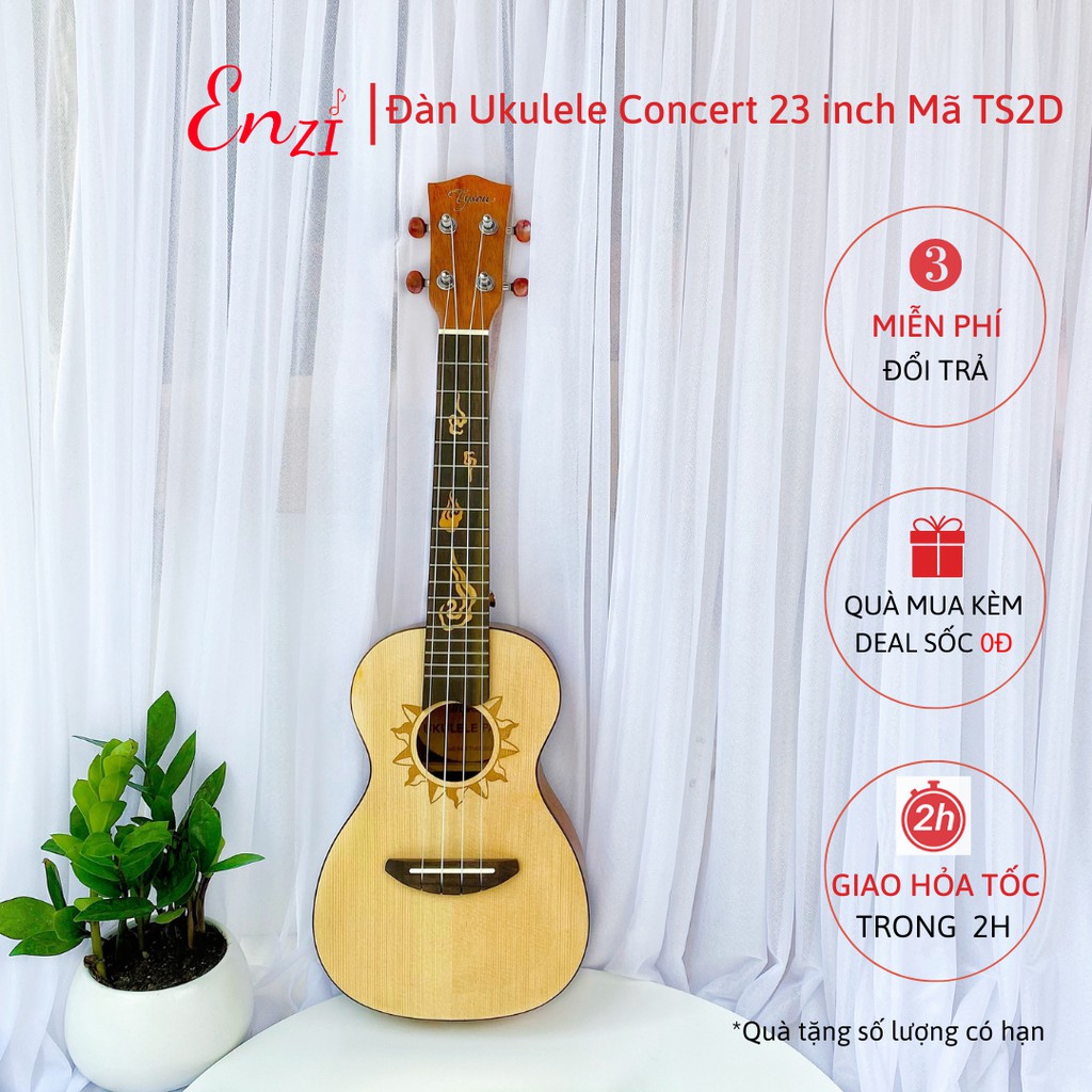 Đàn ukulele concert TS2D Enzi 23 inch gỗ mộc viền mặt trời khóa đúc giá rẻ cho bạn mới bắt đầu tập chơi