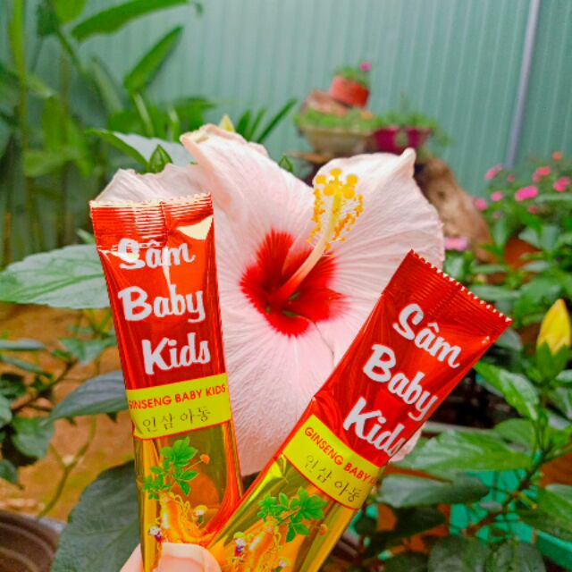 {Tặng 2 gói} Sâm Baby Kids Ăn Ngủ Ngon