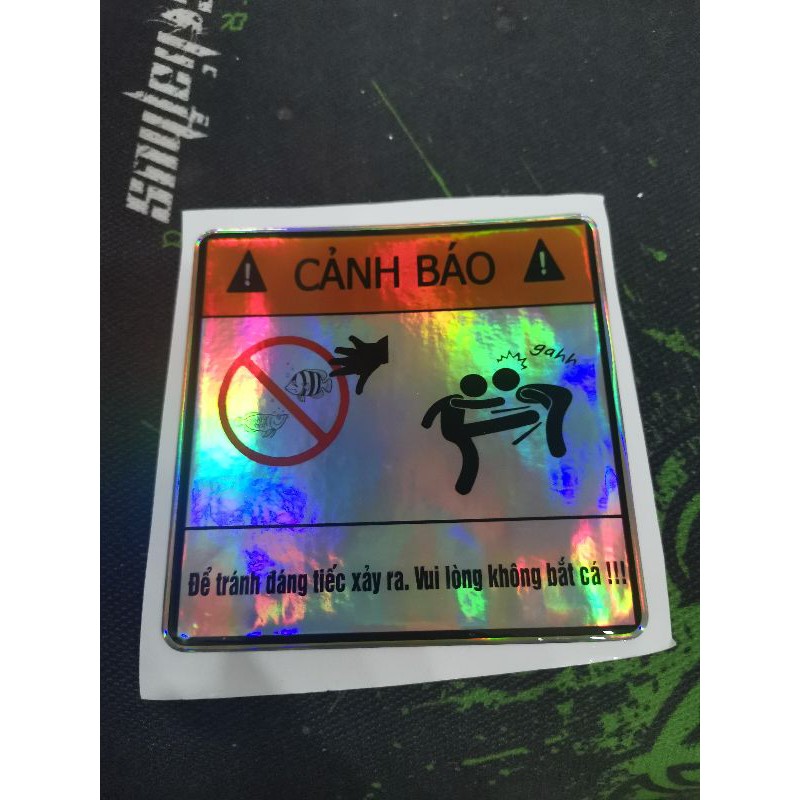Logo cảnh báo hài hước không bắt cá  kiểu 3
