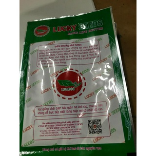 Hạt giống cải ngồng mập 999
