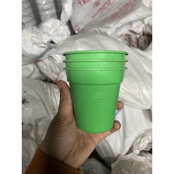 (8x8) Chậu nhựa mini trồng cây TD8,trong sen đá, xương rồng, hoa nhỏ