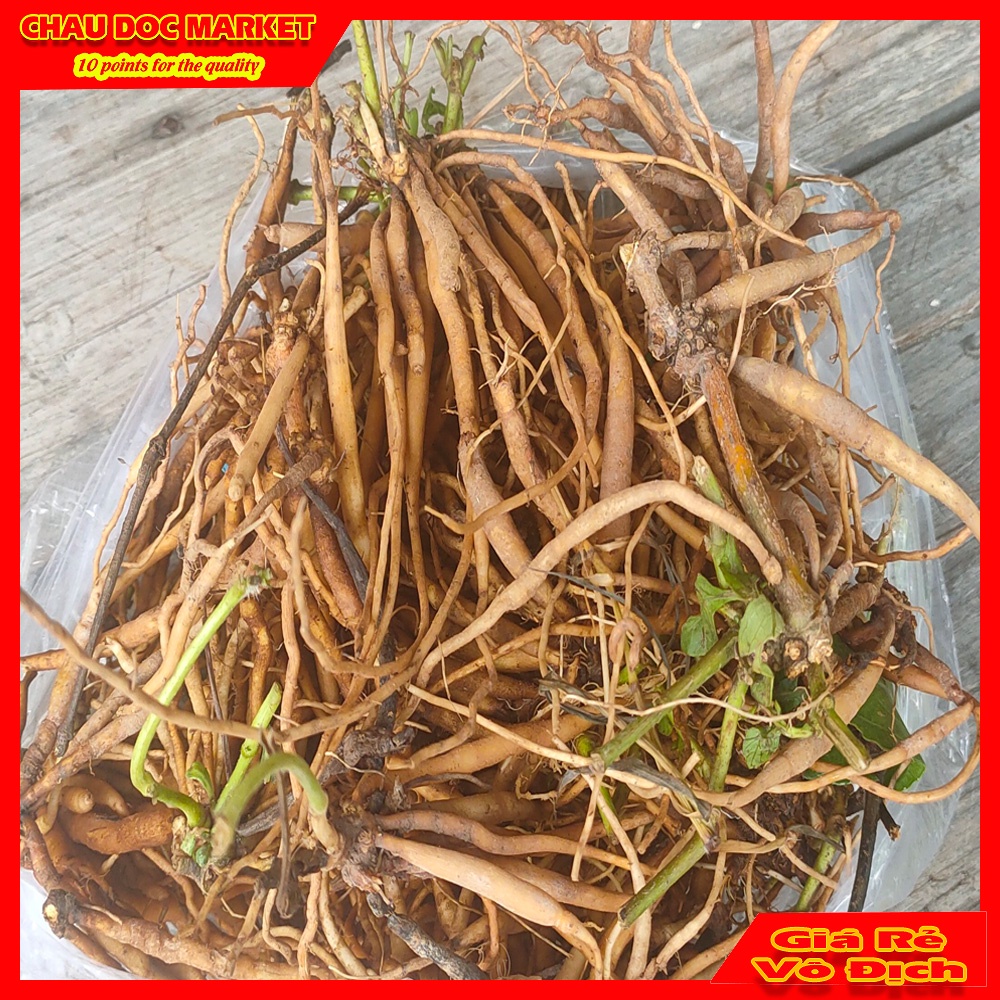 Củ Sâm Đất Tươi  1Kg Vùng Thất Sơn  Dùng Nấu Nướng Uống Hay Ngâm Rượu.