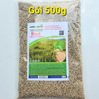Hạt giống cỏ ruzi giống cỏ chăn nuôi chịu dẫm đạp tốt - phù hợp trồng chăn thả