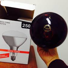 BÓNG ĐÈN HỒNG NGOẠI DỊCH TÔNG E27/ES 175W