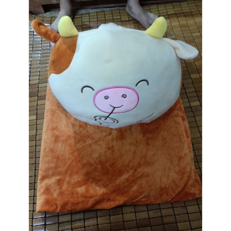 Bộ chăn gối siêu đáng yêu