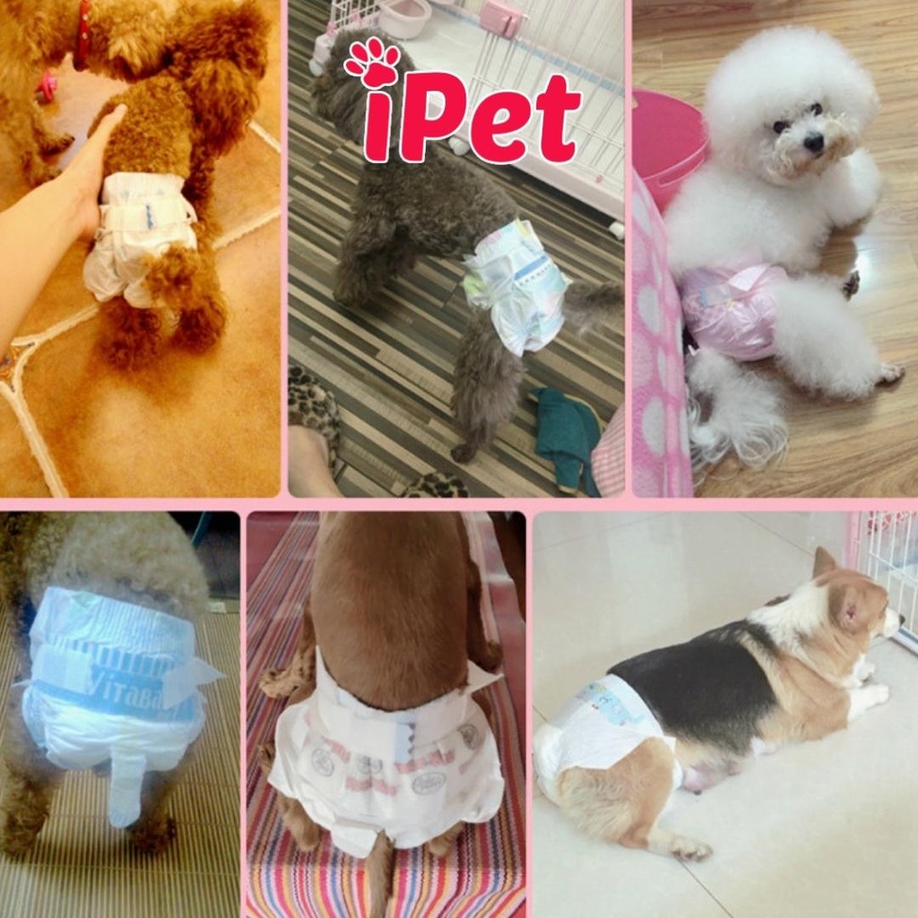 Lẻ Bỉm Cho Chó Mèo Cái Và Đực - Tã Quần Dono Disposale Diapers - Tả Lót Siêu Thấm Hút - iPet Shop
