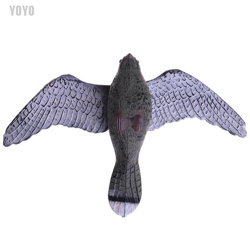 Mô hình chim diều hâu điều khiển cân bằng sải cánh sống động