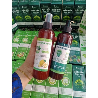 Combo  kích thích mọc tóc sau sinh, phục hồi tóc hư tổn