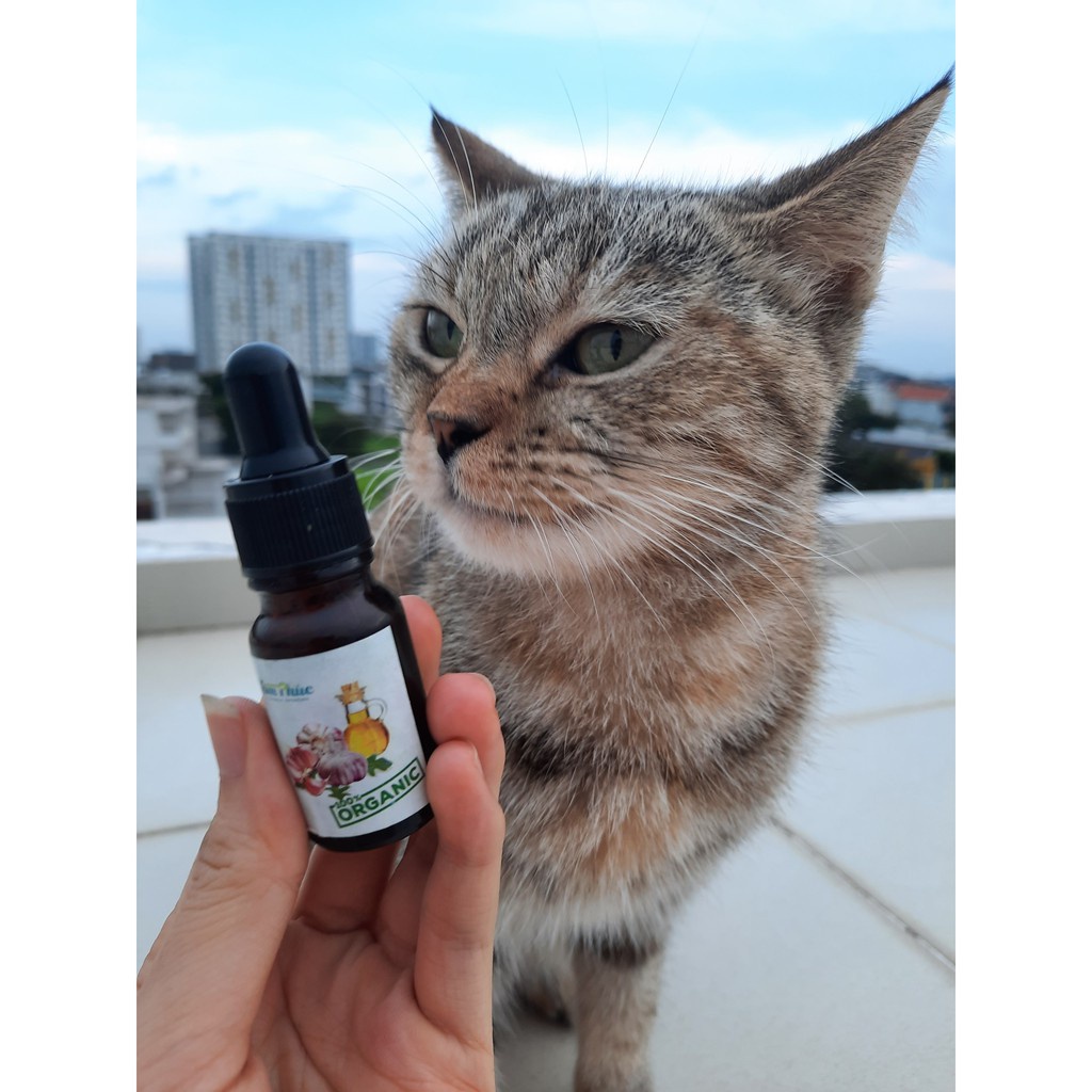 Chăm sóc sức khỏe chó mèo mùa đông vitamin cho chó mèo tăng đề kháng (combo tinh dầu tỏi,men vi sinh 40g,beta amin 5g)
