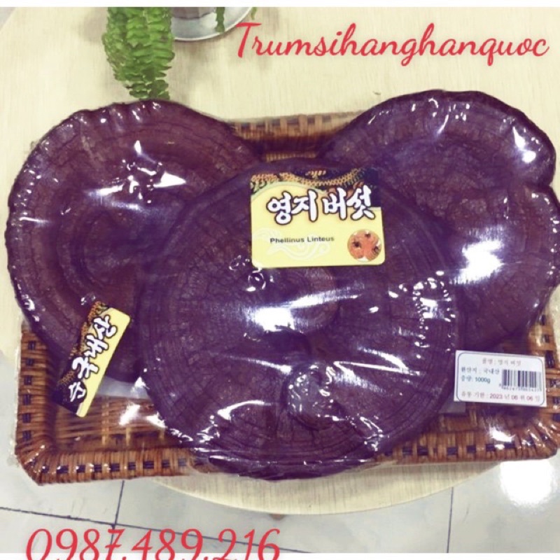 [HÀNG MỚI] Nấm linh chi Đỏ dạng khay HÀN QUỐC[DUY NHẤT HÔM NAY] [SALE LỚN]