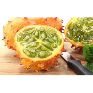 Hạt giống Dưa chuột gai - Rau củ quả trồng tại vườn, sân thượng, nông trang, ban công