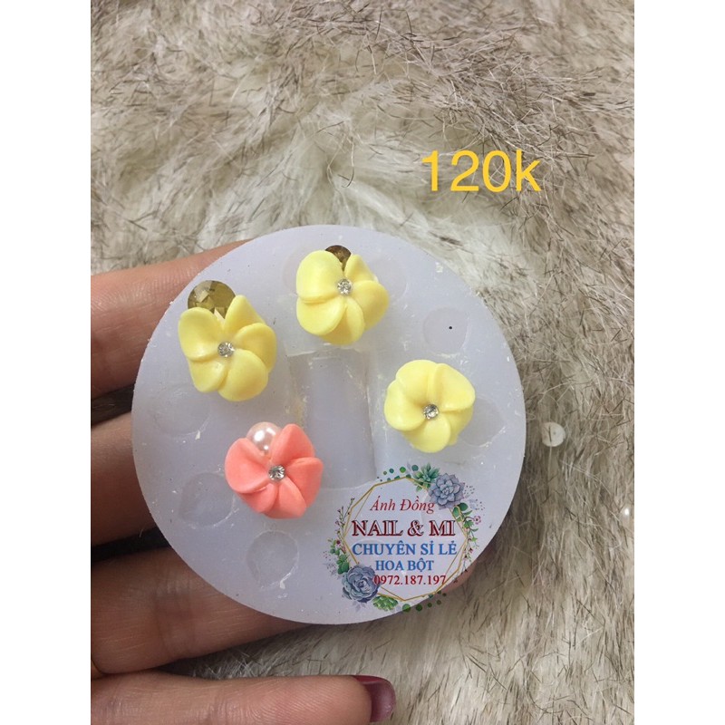 Khuôn hoa bột nail