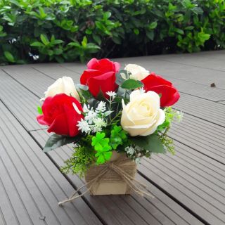 Chậu hoa hồng sáp 7 bông