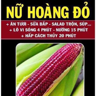 Bắp Nữ Hoàng Đỏ Sạch