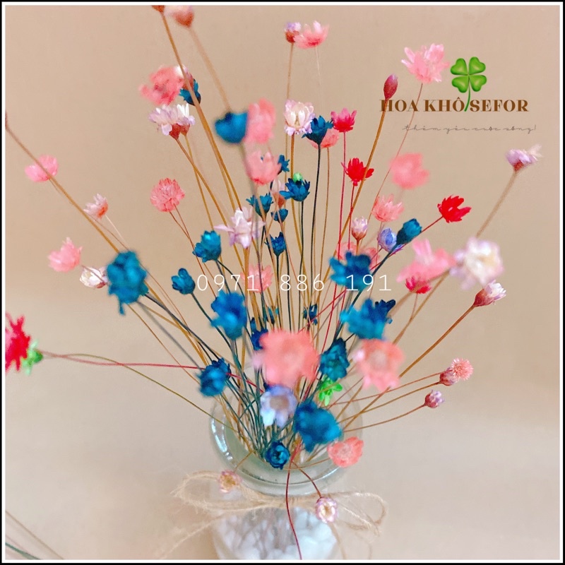 Lọ hoa khô ❤️Lọ hoa mini tuyết nhiệt đới/Glixia ❤️ decor nhà cửa, quà tặng