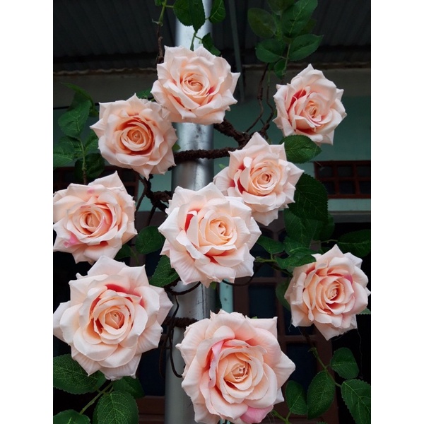 Dây hồng leo giả dây leo tường decor trang trí