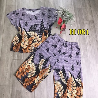 BỘ LANH LỬNG SỚ ĐẠI