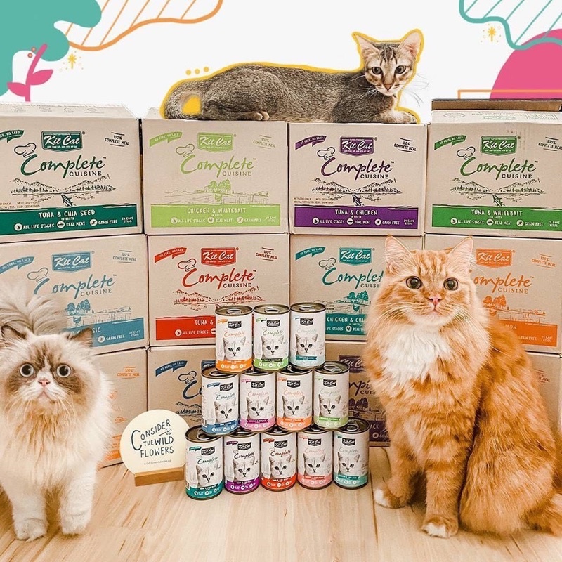 Thức ăn cho mèo - pate Kitcat Complete Cuisine hộp 150gr