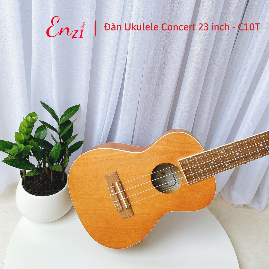 Đàn ukulele concert size 23 inch C6T chất liệu gỗ giá rẻ chất lượng ENZI