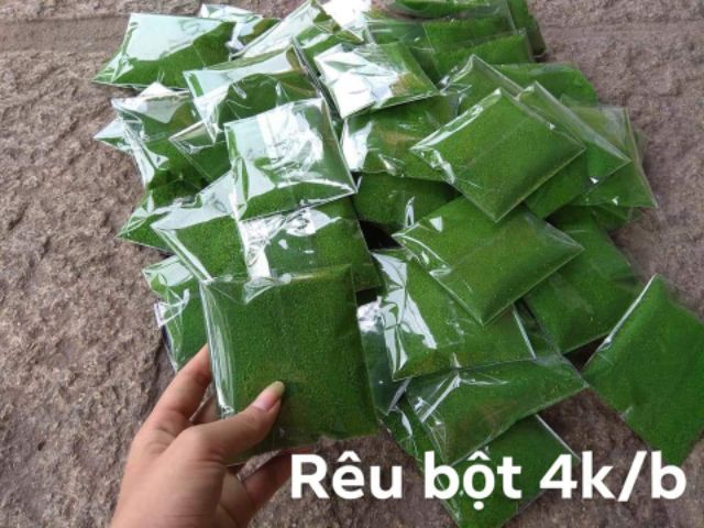 CỎ SỢI TRANG TRÍ