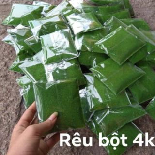 CỎ SỢI TRANG TRÍ