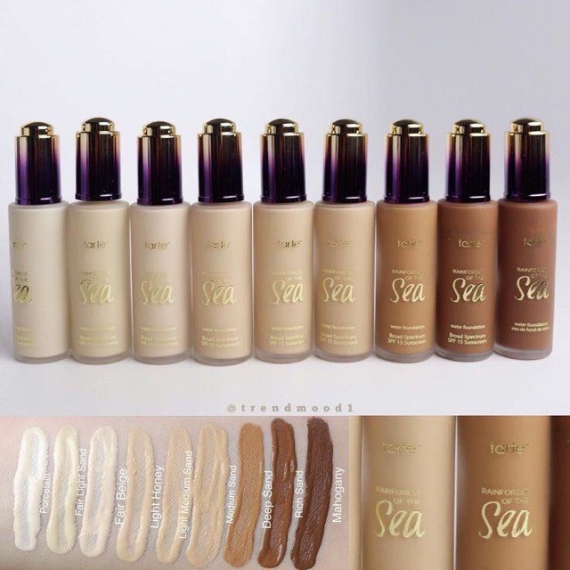 Kem nền tarte rainforest of the sea