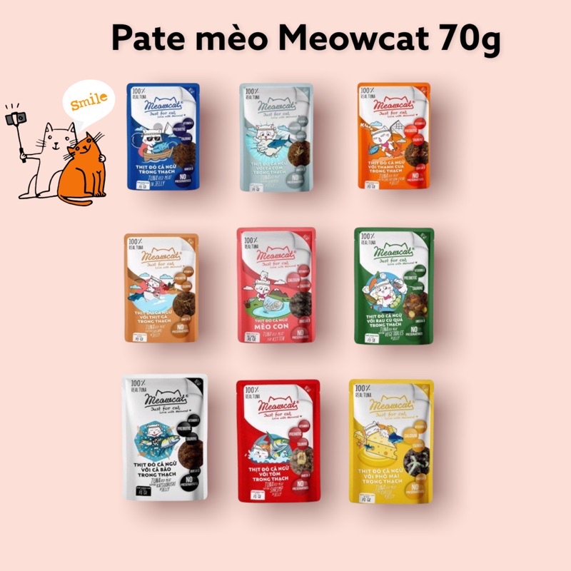 Pate cho mèo Meowcat dạng thạch gói 70g ( giao ngẫu nhiên)