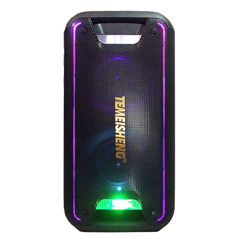 Loa bluetooth karaoke Temeisheng TMS-502