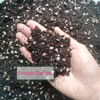 1 Kg Đất Trồng Sen Đá, Xương Rồng