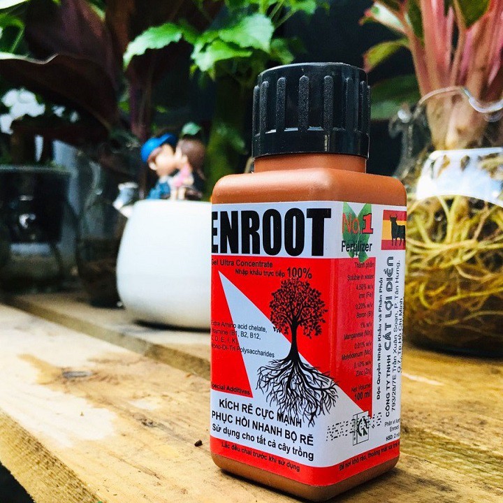 Phân bón ra rễ cực mạnh ENROOT 100ml