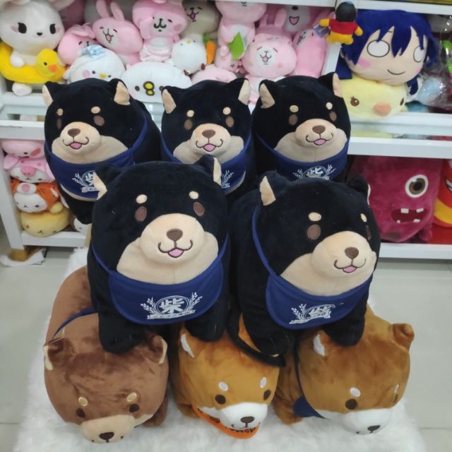 Gấu bông chó shiba