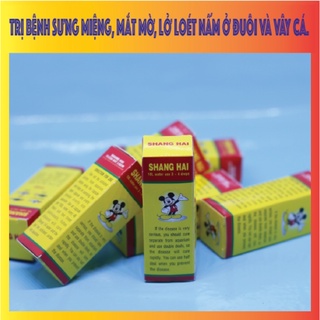  Phòng ngừa và chữa Nấm Shanghai cho cá cảnh 