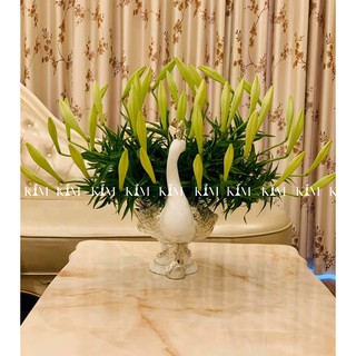 Bình cắm hoa hình công cao cấp