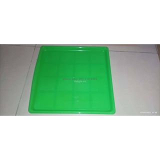 I20 - 10 cái đáy lồng chim trung 40x40