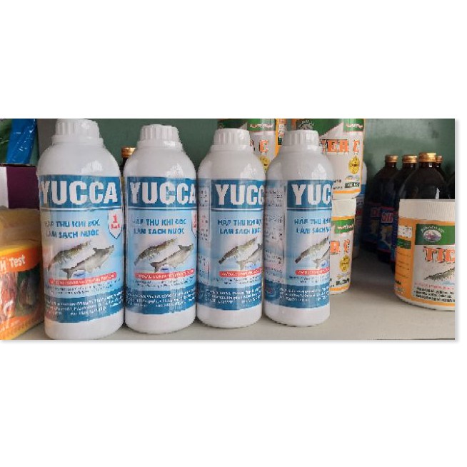 (Thuốc Thủy Sản) YUCCA- hấp thu khí độc làm sạch nước ao nuôi trồng thủy sản