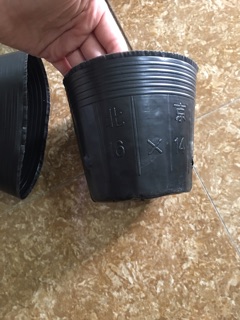 1kg bầu ươm cây size nhỡ
