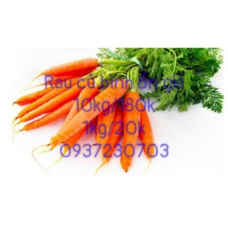 cà rốt đà lạt