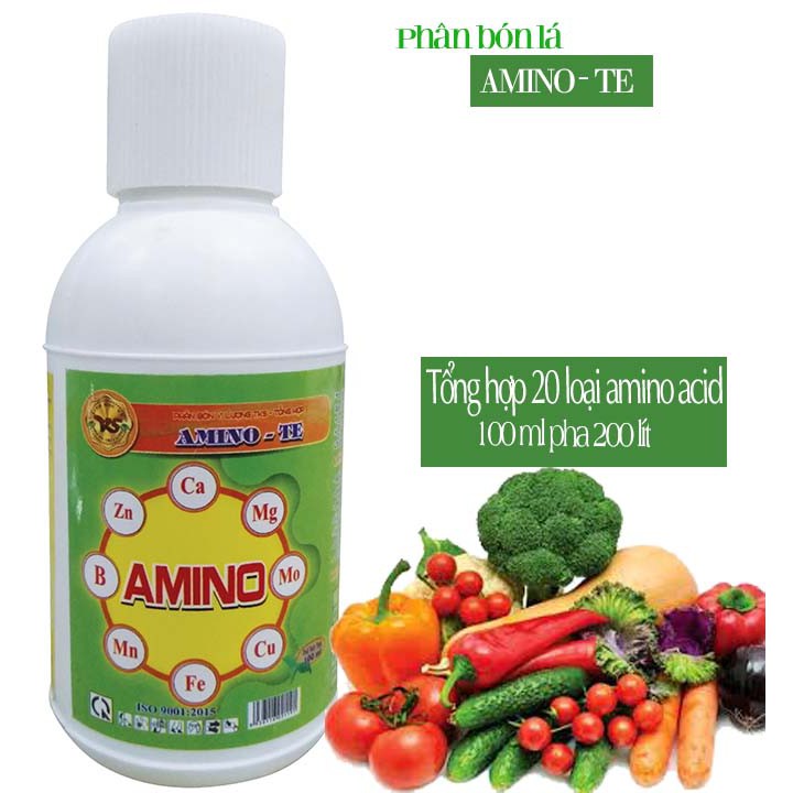 AMINO TE: TRUNG VI LƯỢNG TỔNG HỢP ( Đậm Đặc) - Chai 100ml