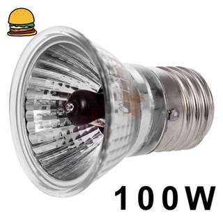 Đèn Sưởi Ấm Uva + Uvb Cho Thú Cưng Bò Sát