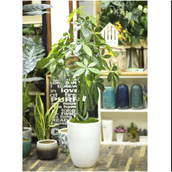 Cây giả - Cây kim ngân trang trí cao 120 cm - LC2348