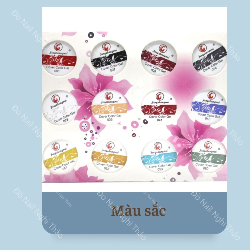 Set gel vẽ nail Fengshangmei 12 Màu