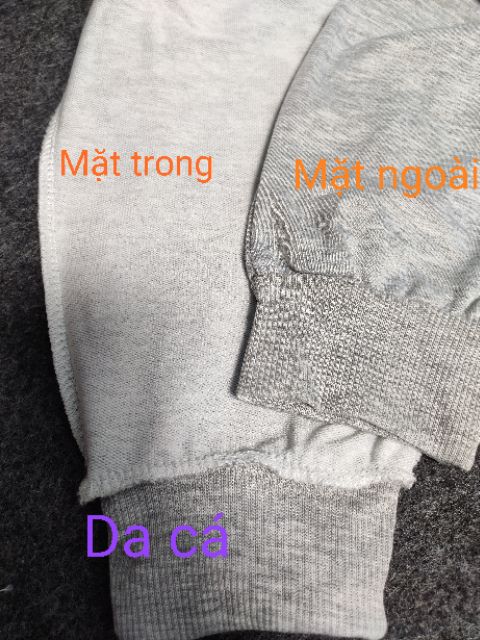 FS50K - Quần jogger nam nữ thun da cá/nỉ bigsize thể thao/gym