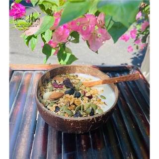 Combo Bát Trộn Gáo Dừa Handmade The Moon