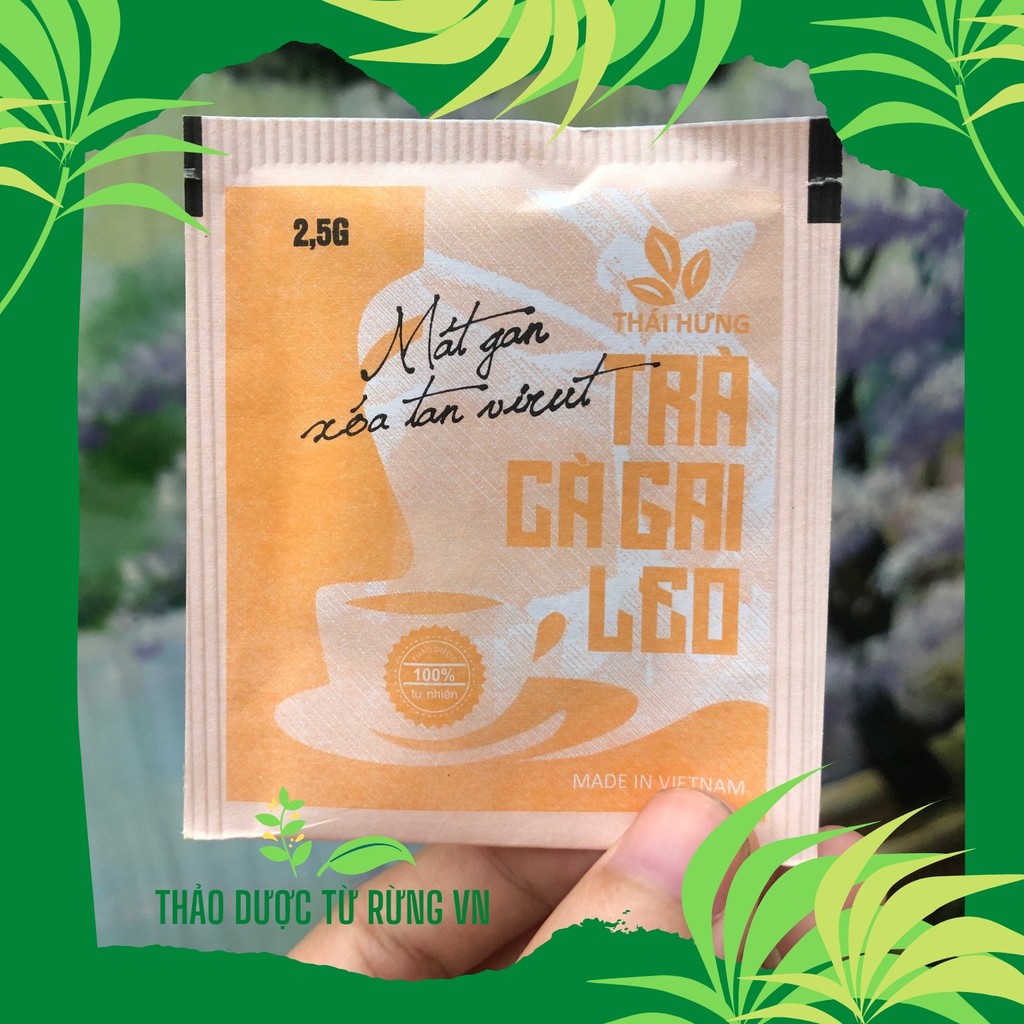 [SIÊU SALE]  Trà ✅ Cà Gai Leo THÁI HƯNG Hỗ Trợ Điều Trị Gan Hết Mẩn Ngứa 1 gói 2,5g