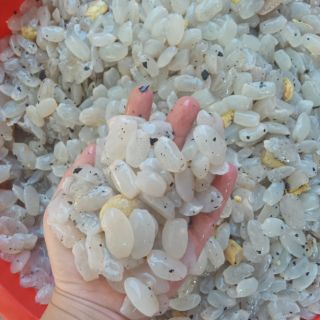 Combo hạt đác sạch khách đà nẵng